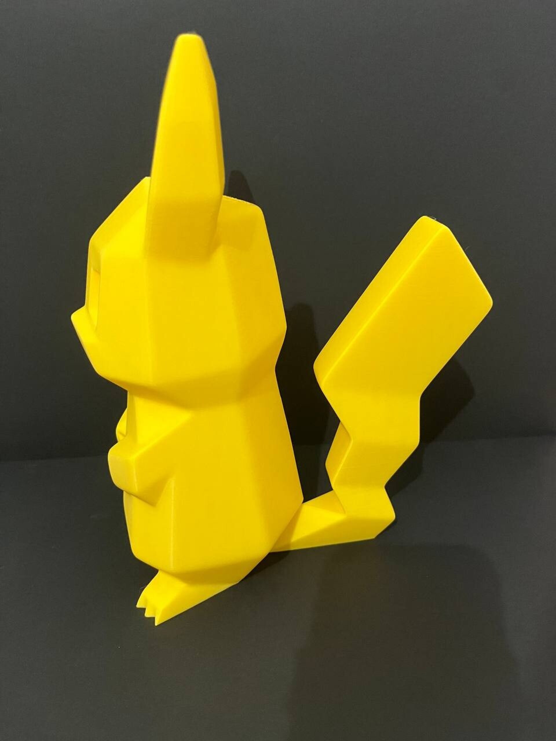 HUCHA PIKACHU POKEMON - 5