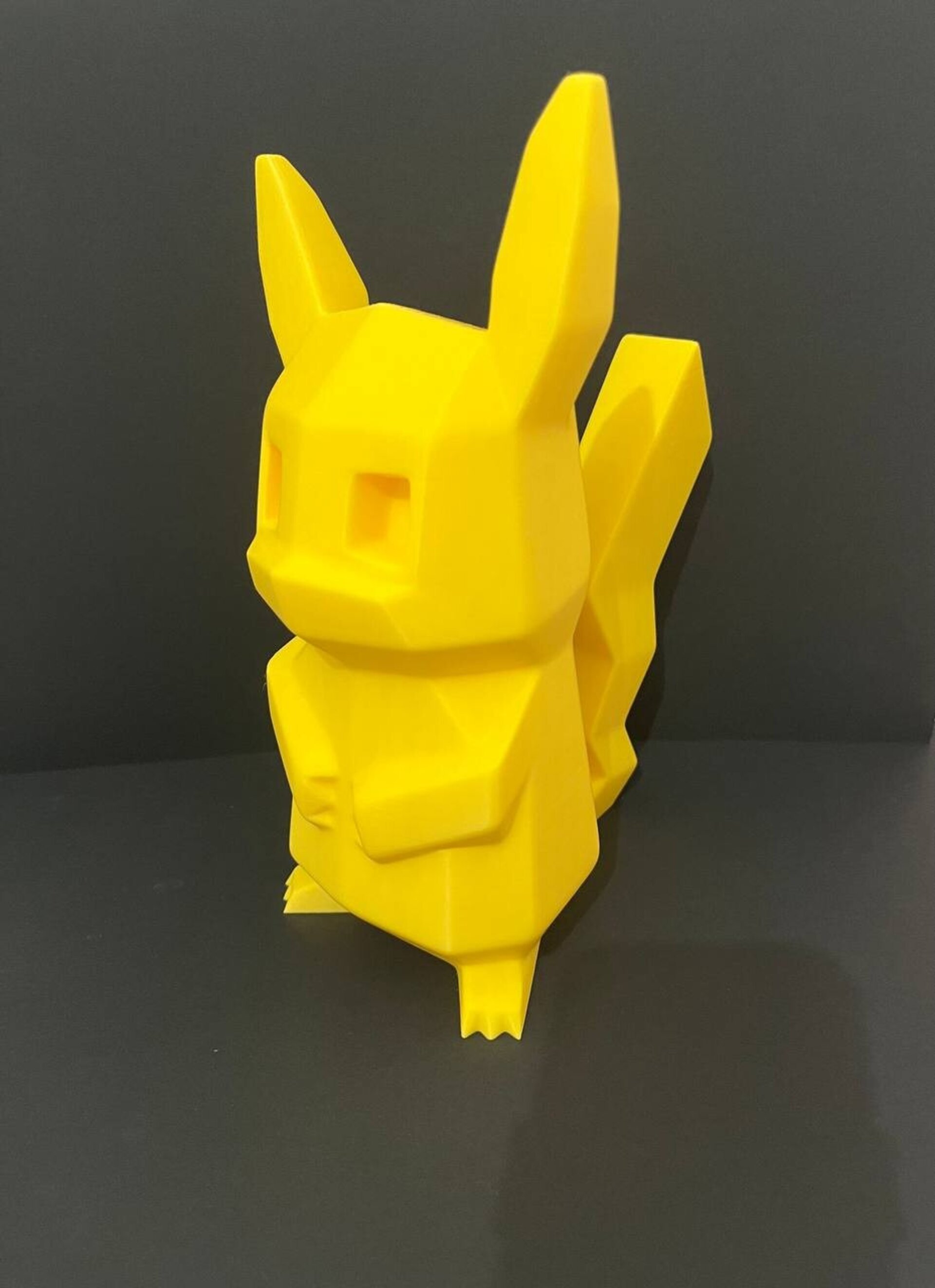 HUCHA PIKACHU POKEMON - 7