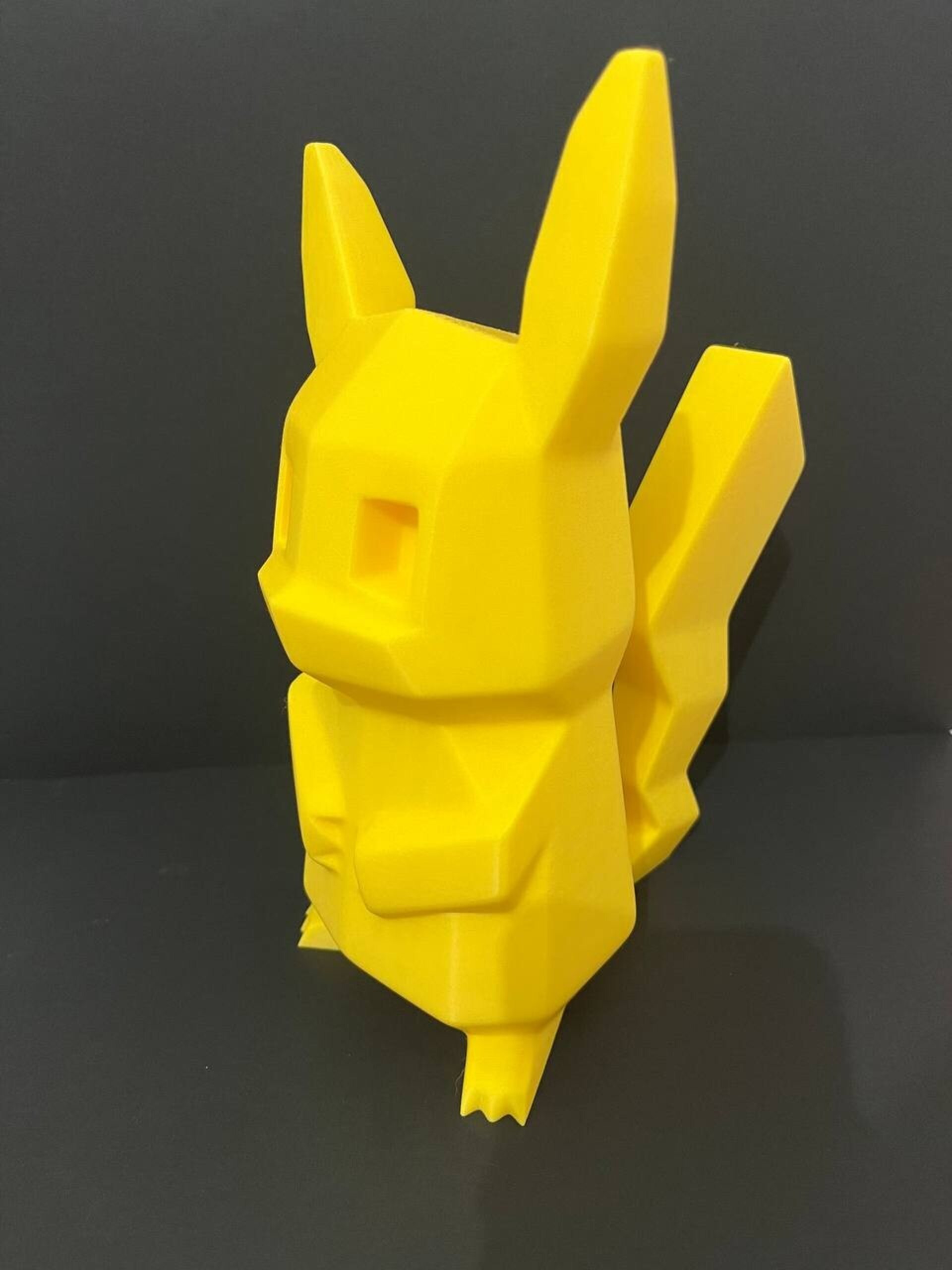 HUCHA PIKACHU POKEMON - 9